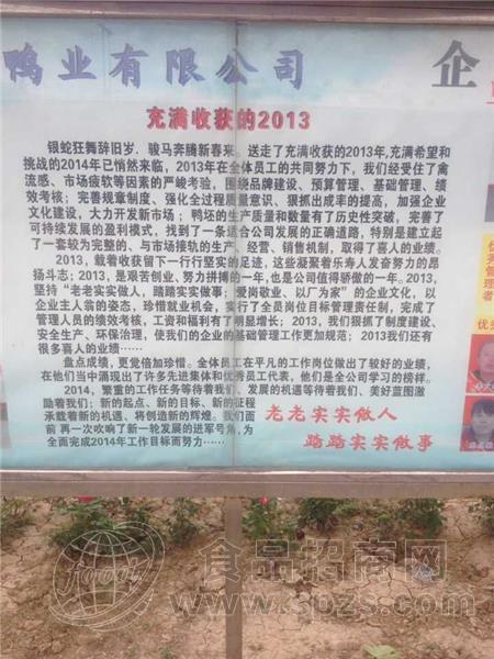 企业照片