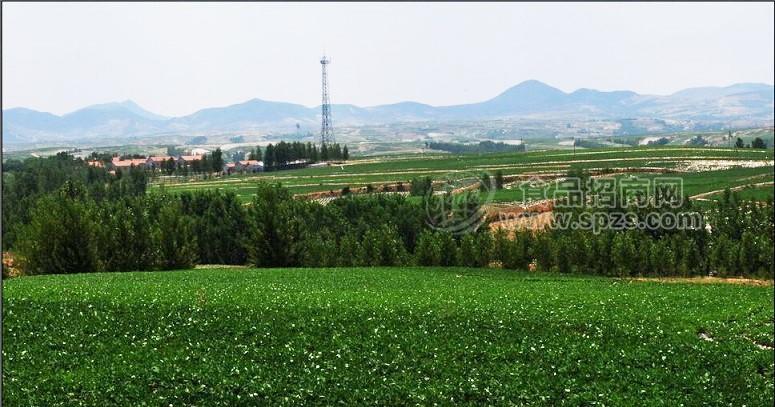 山歌有机观光种植基地