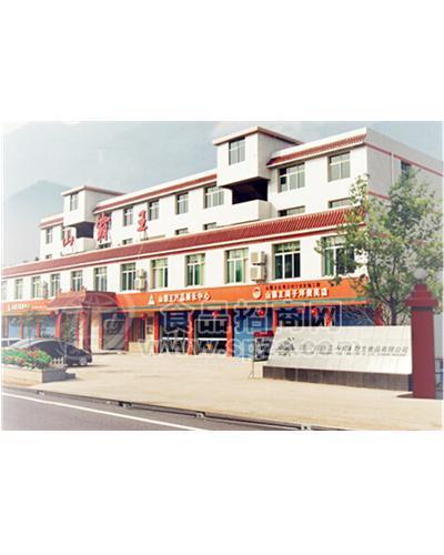 山霸王公司图片