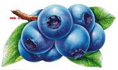 天津悦芃泰国际贸易有限公司