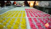 石家庄市西玛吉食品有限公司