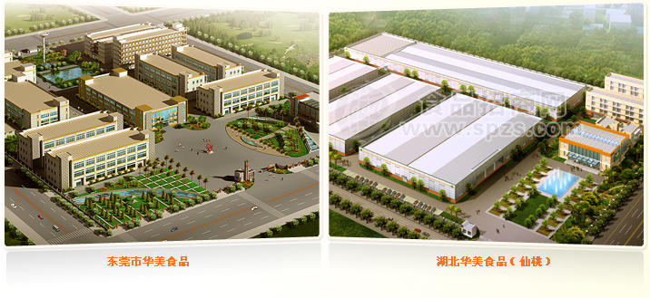 东莞市华美食品有限公司