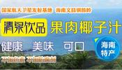 海南文昌清泉食品有限公司