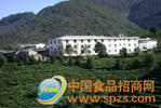 福建沁园春茶业有限公司