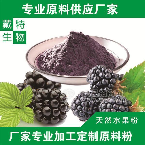 供应桑葚粉    速溶