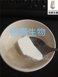 酸奶菌系列