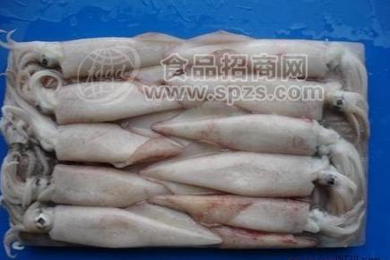 批發(fā)海鮮凍品韓國包魷魚,帶魚價(jià)格，阿根廷魷魚筒，