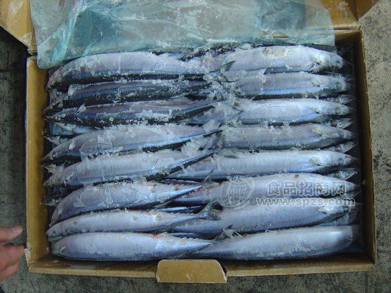 批發(fā)特級秋刀魚，批發(fā)阿根廷冰凍鱈魚，印度700上A帶