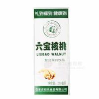 六宝核桃复合蛋白饮品250ml
