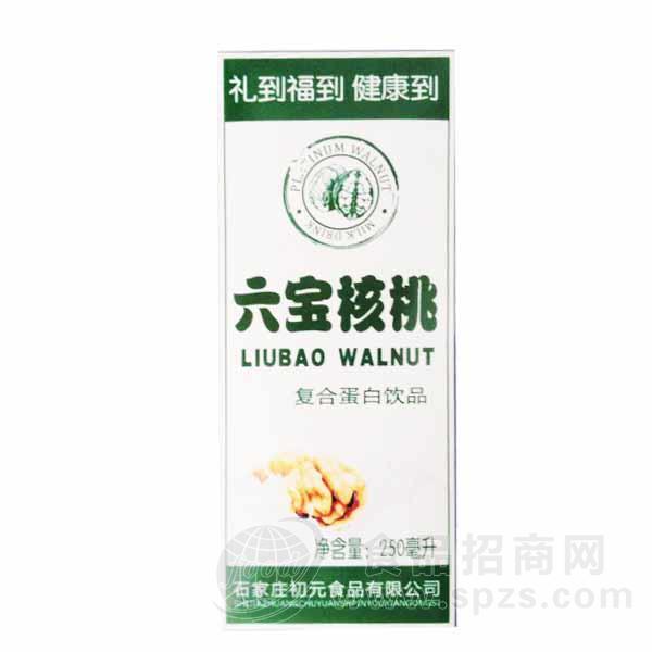 六宝核桃复合蛋白饮品250ml