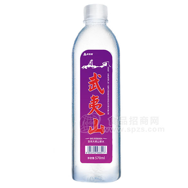 ·加凯恩武夷山天然活水570ml 