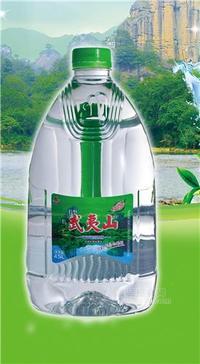 加凱恩武夷山天然活水茶伴侶4.5L