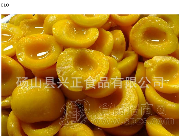 兴正产品010