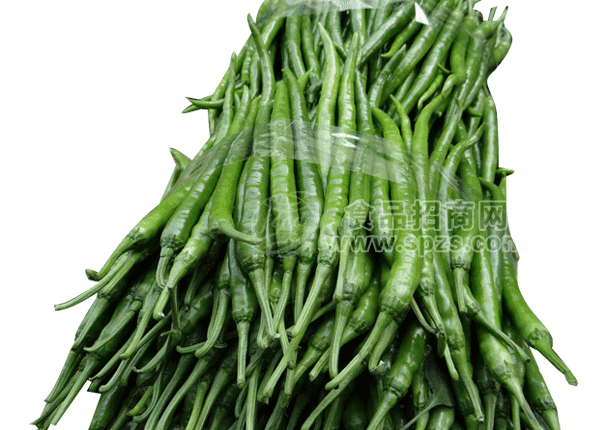 兴蔬绿燕（线椒）
