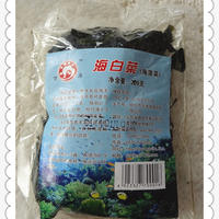 海菠菜