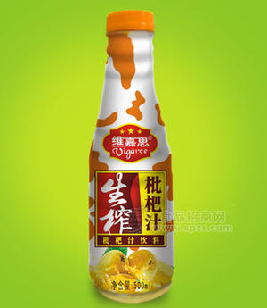 500ml枇杷汁饮料