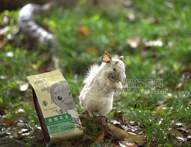 坚果世界蒜香花生