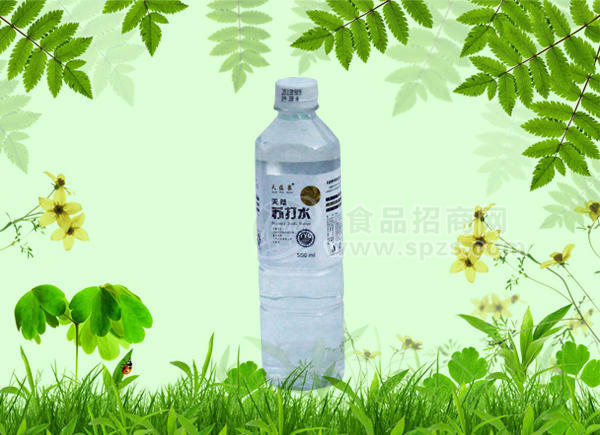 天蕴泉大瓶苏打水
