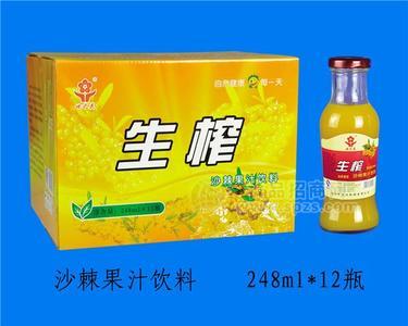 生榨沙棘果汁饮料 248ml l2瓶 富源饮料