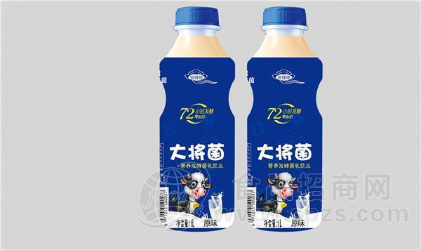 大将菌乳酸菌