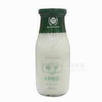 植親  發(fā)酵酸奶原味 乳飲品 300mL