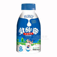 興萬家乳酸菌牛乳飲品300ml