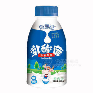 兴万家乳酸菌牛乳饮品300ml