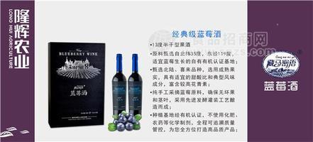 隆輝農業(yè)經典級藍莓酒