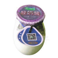 康大珍元  酸奶酪乳饮品 200g