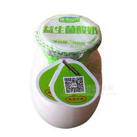 康大珍元  益生菌酸奶 乳饮品200g