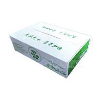 康大珍元  益生菌酸奶 乳饮料 箱装