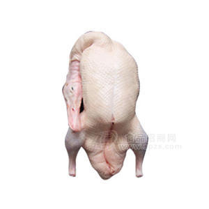 一甲食品  白条鸭 