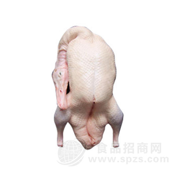 一甲食品  白条鸭 