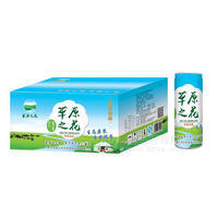 草原之花 杏仁露纯野山杏仁植物蛋白饮料