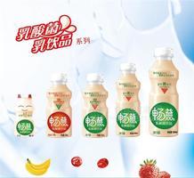 畅益  乳酸菌乳饮品 340ML-340ML