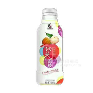 功夫印象运动型饮料 荔枝500ml