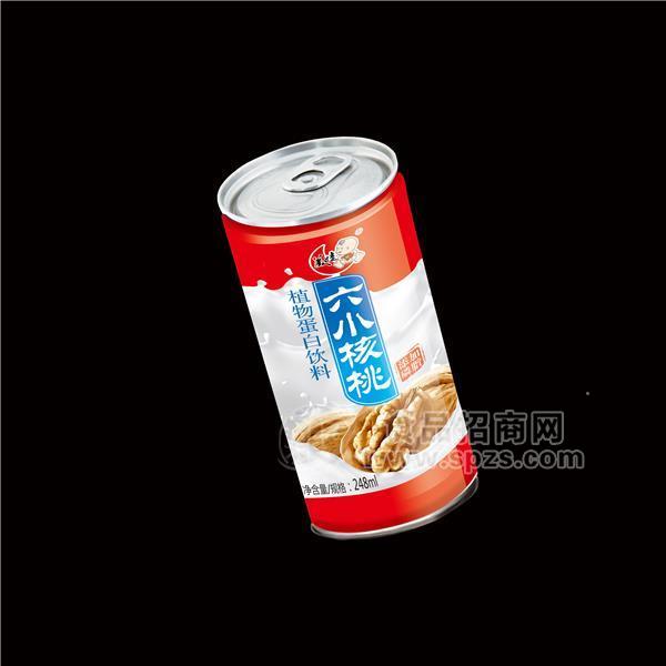 六小核桃蛋白饮品