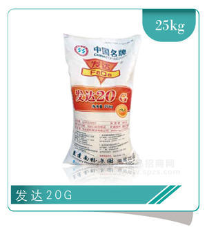 發(fā)達(dá)20G