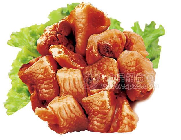 脆节香卤味休闲食品肉干肉脯实物图
