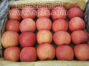 供應(yīng)紅富士蘋果；陜西紅富士蘋果基地價(jià)格；批發(fā)蘋果價(jià)格