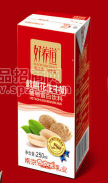 ·好养道苗条装核桃花生牛奶 