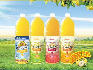 “厦普赛尔”世外梨园 黄梨汁饮料瓶装