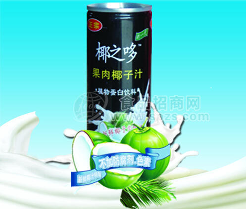 椰之哆 植物蛋白飲料 椰子汁245ml