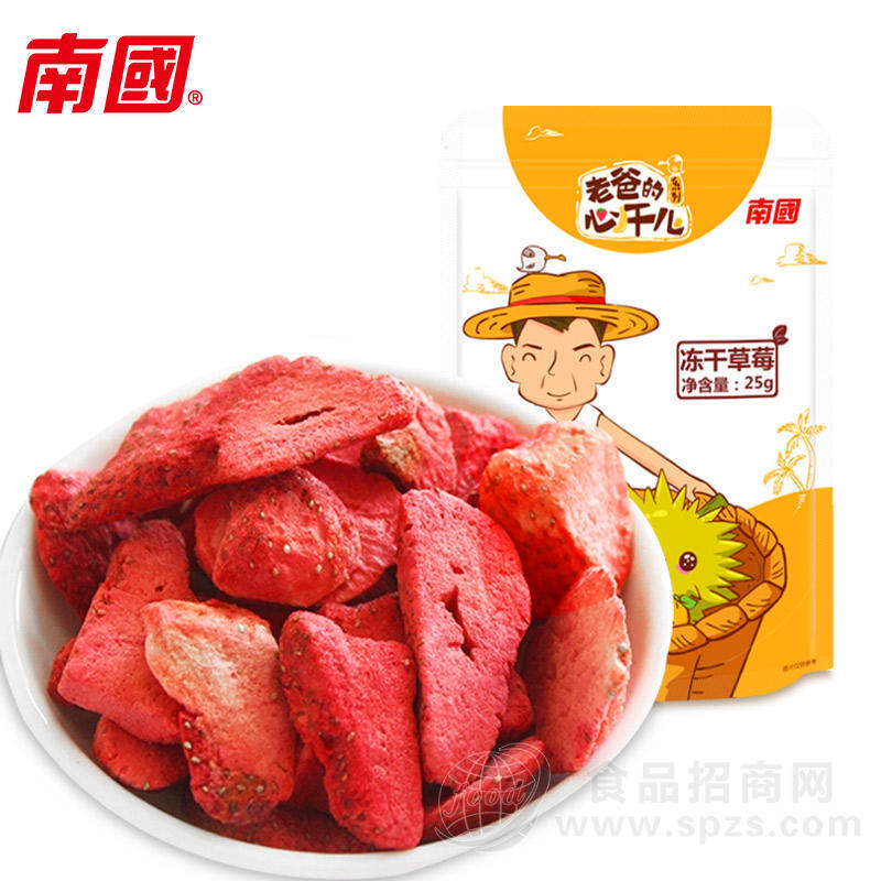 南国蜜饯果脯草莓干25g