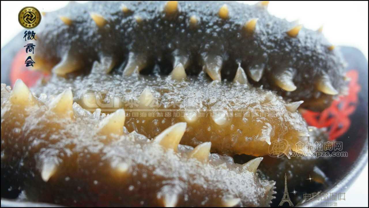 供应海鲜产品