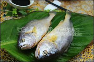 海鮮產品——魚類