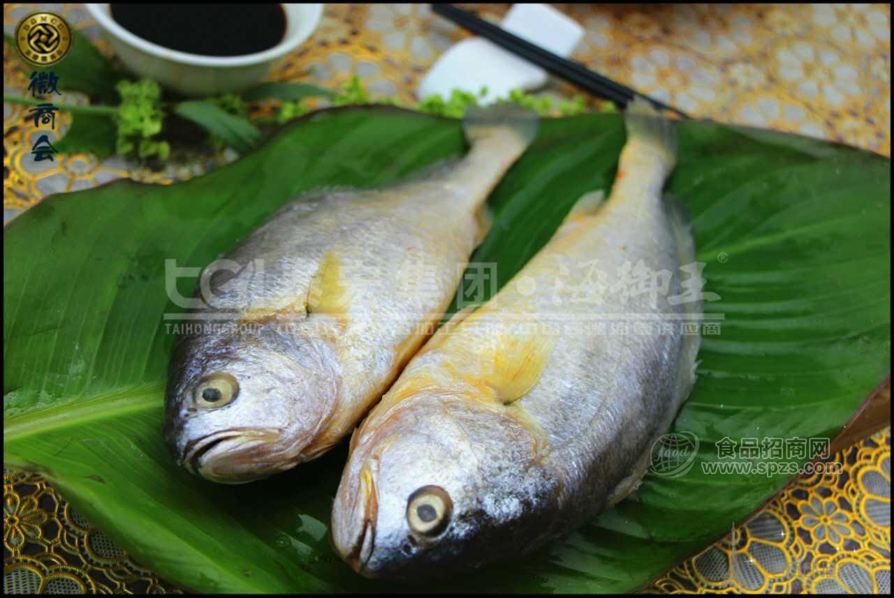 海鮮產(chǎn)品——魚類