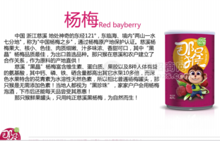 杨梅罐头 水果罐头