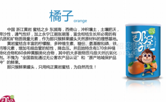 橘子罐头 水果罐头
