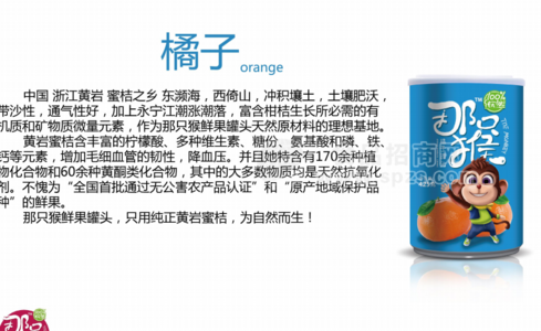 橘子罐头 水果罐头